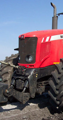 Tracteur Massey Ferguson d'occasion