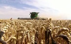 Nouvelle série: Moissonneuse batteuse John Deere S